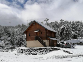 Chalet cosy 6/8 pers. près des pistes avec équipements complets et parking gratuit - FR-1-602-92